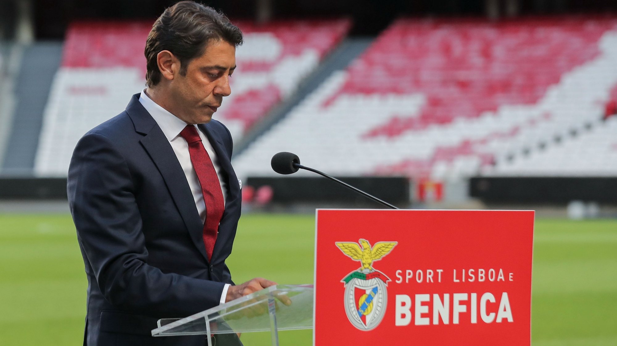 Estádio da Luz rui costa