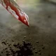 mata irmã com facada em Peniche