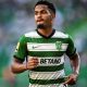 Marcus Edwards no Chelsea
