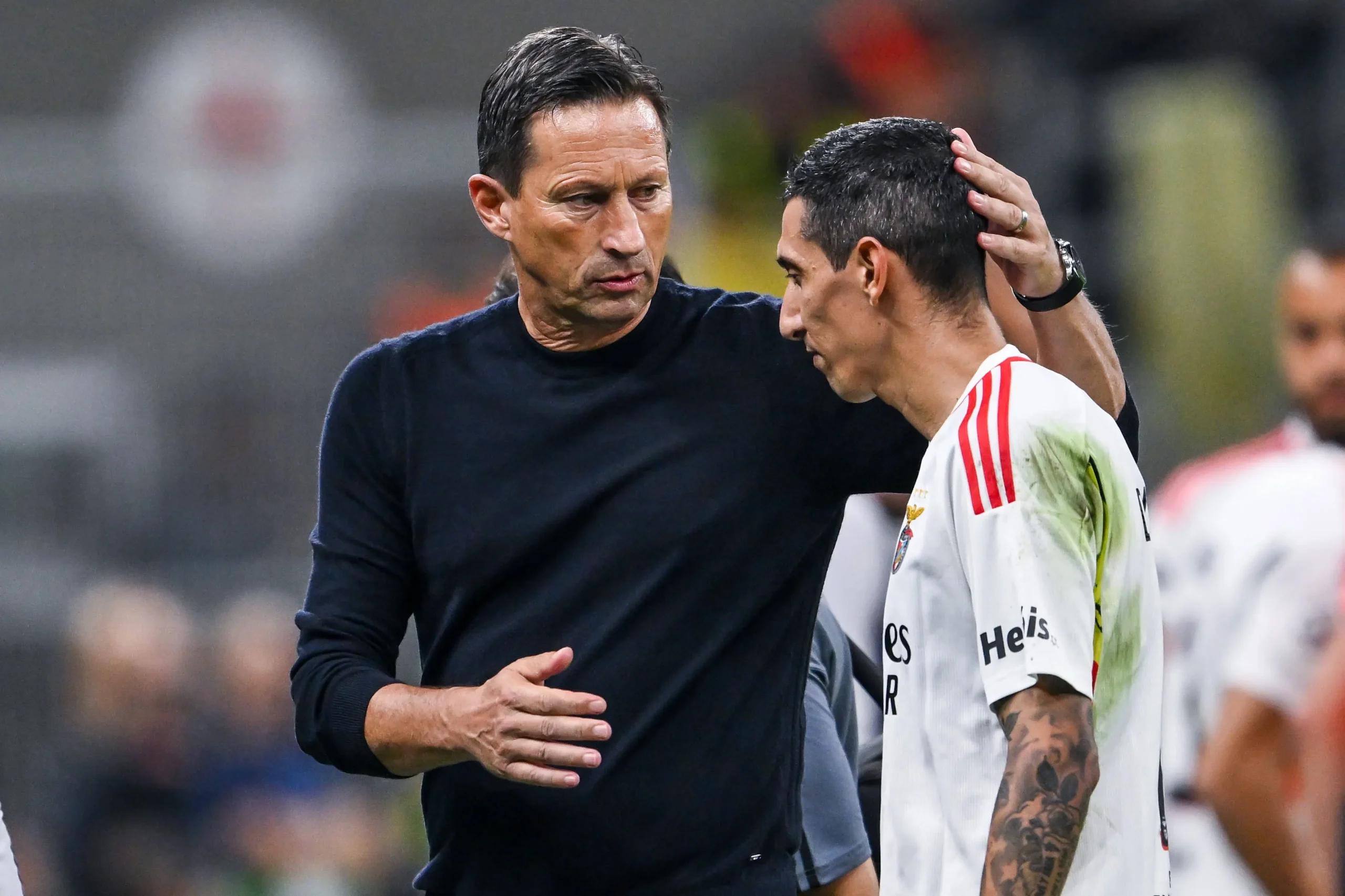 Roger Schmidt treinador do Benfica
