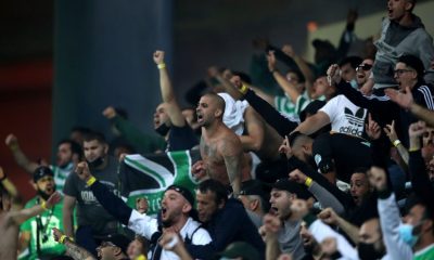 adeptos do Sporting
